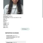 レス2番の画像1