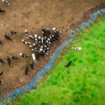 レス1番のリンク先のサムネイル画像