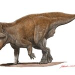 レス1番の画像3