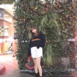 レス51番の画像1