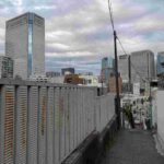 レス5番の画像1