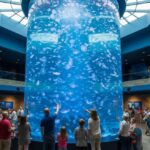 レス34番の画像1