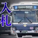 レス44番のリンク先のサムネイル画像