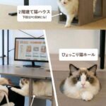 レス2番の画像1