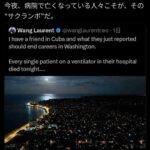 レス1番の画像4