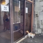 レス1番の画像6