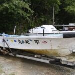 レス1番のリンク先のサムネイル画像