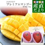 レス4番の画像1