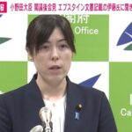 レス1番のリンク先のサムネイル画像