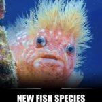 レス41番の画像1