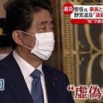 レス13番の画像1