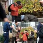 レス23番の画像1