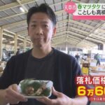 レス1番の画像3