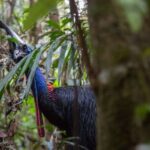 レス3番の画像2