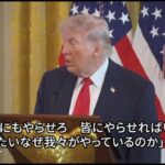 レス2番の画像2