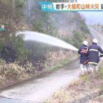 レス1番のリンク先のサムネイル画像