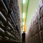 レス2番のリンク先のサムネイル画像