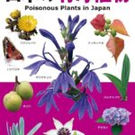 レス2番の画像1