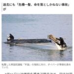 レス1番の画像2