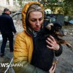 レス1番のリンク先のサムネイル画像