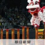 レス1番のリンク先のサムネイル画像