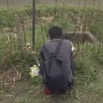 レス1番の画像5