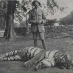 レス8番の画像1