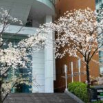 レス9番の画像1