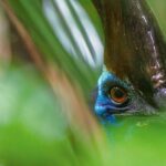 レス4番の画像1