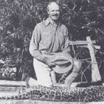 レス5番の画像1