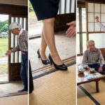 レス33番の画像1