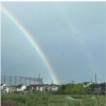 レス1番の画像4