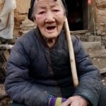 レス11番の画像2