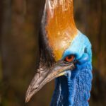 レス2番の画像1