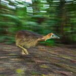 レス3番の画像1