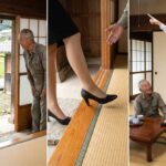 レス46番の画像1