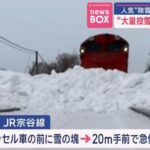 レス11番の画像3