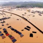 レス35番の画像1