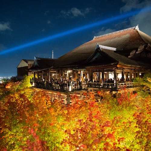 記事サムネイル