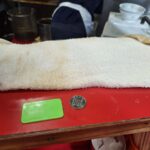 レス36番の画像1