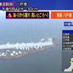 レス11番の画像1