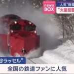 レス11番の画像1