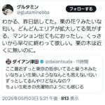 レス13番の画像3