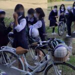 レス31番の画像2