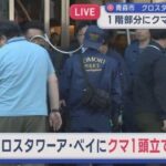 レス1番のリンク先のサムネイル画像
