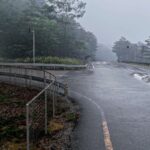 レス6番の画像2