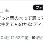 レス13番の画像1