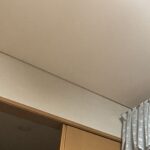 レス28番の画像1