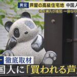 レス1番のリンク先のサムネイル画像