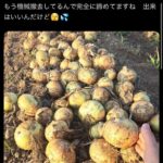 レス2番の画像1